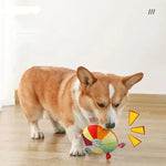 Squeaky Frisbee Dog Toy - Vignette | DoggyElite