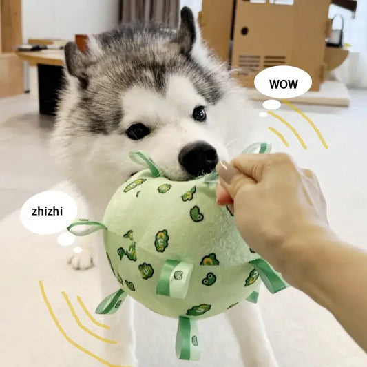 Husky dog interacting with a green plush toy.