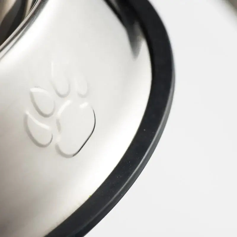 White ceramic pet bowl with an embossed paw print design and a black rim.