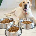 Stacked Pet Food Bowls with Paw Prints - Vignette | DoggyElite