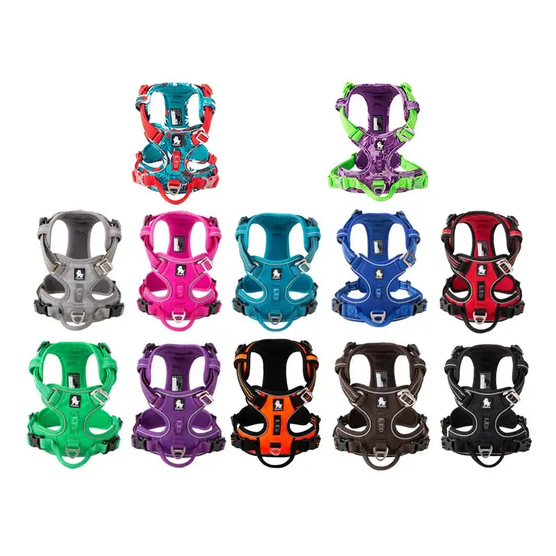 Collection of colorful dog harnesses in various styles and designs.