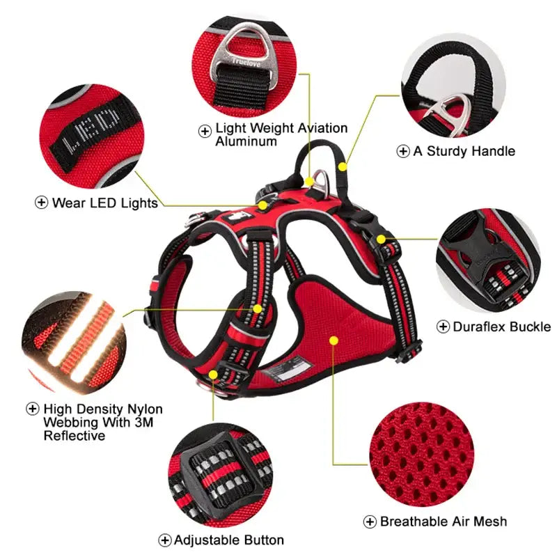 Dog harness with multiple features highlighted and labeled.