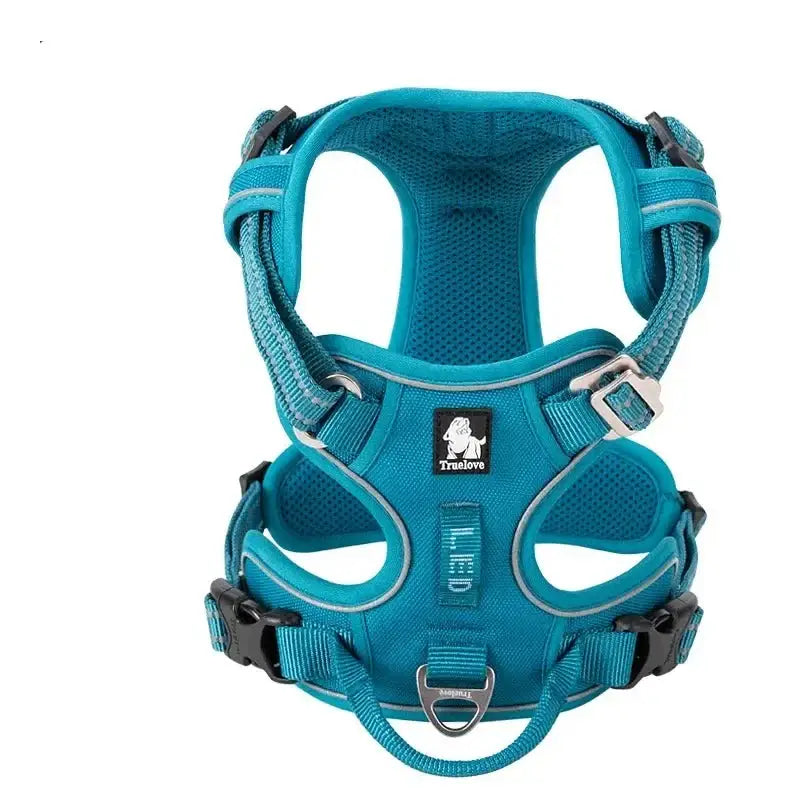 Teal-colored dog harness with adjustable straps and metal hardware.