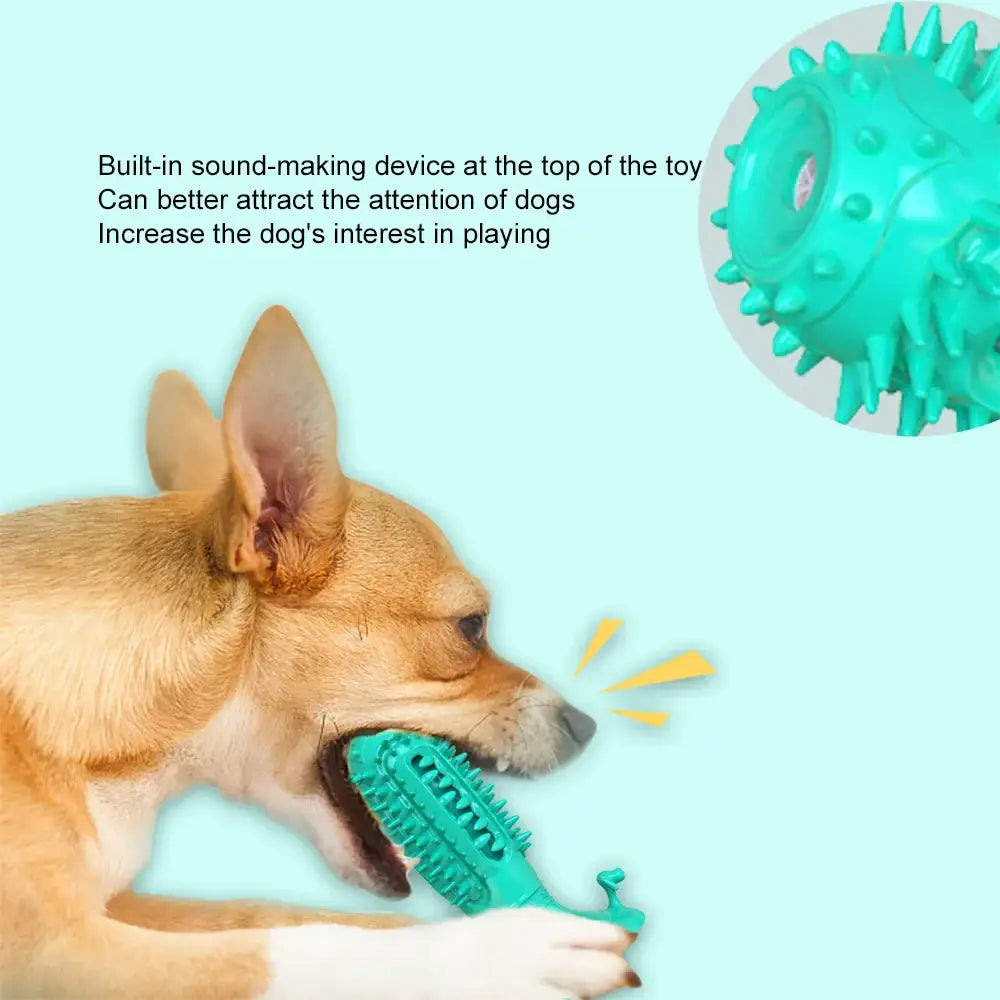 Chihuahua dog biting a teal-colored chew toy.