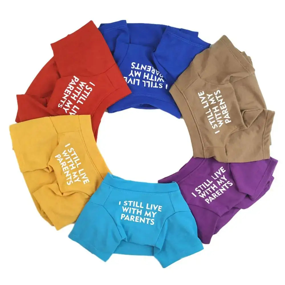 Colorful underwear arranged in a circle with humorous text printed on them.