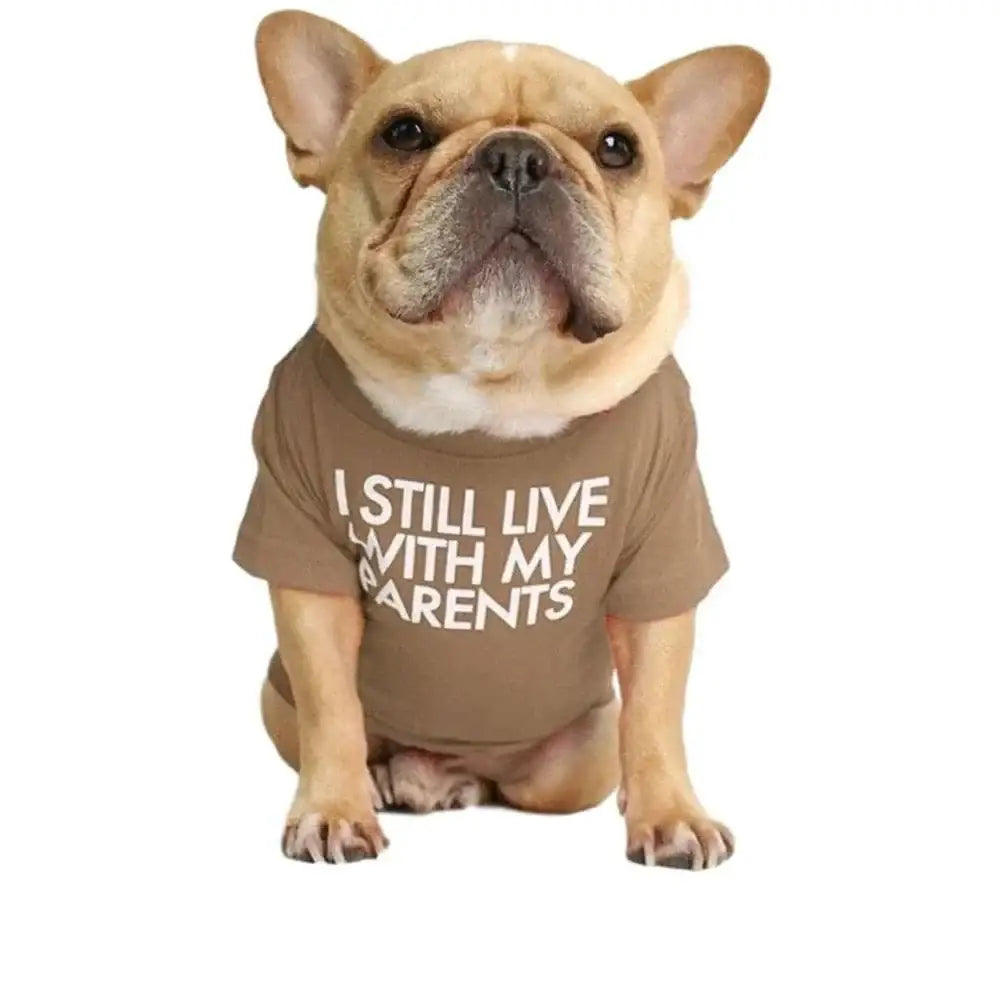 French Bulldog wearing a brown t-shirt with text.