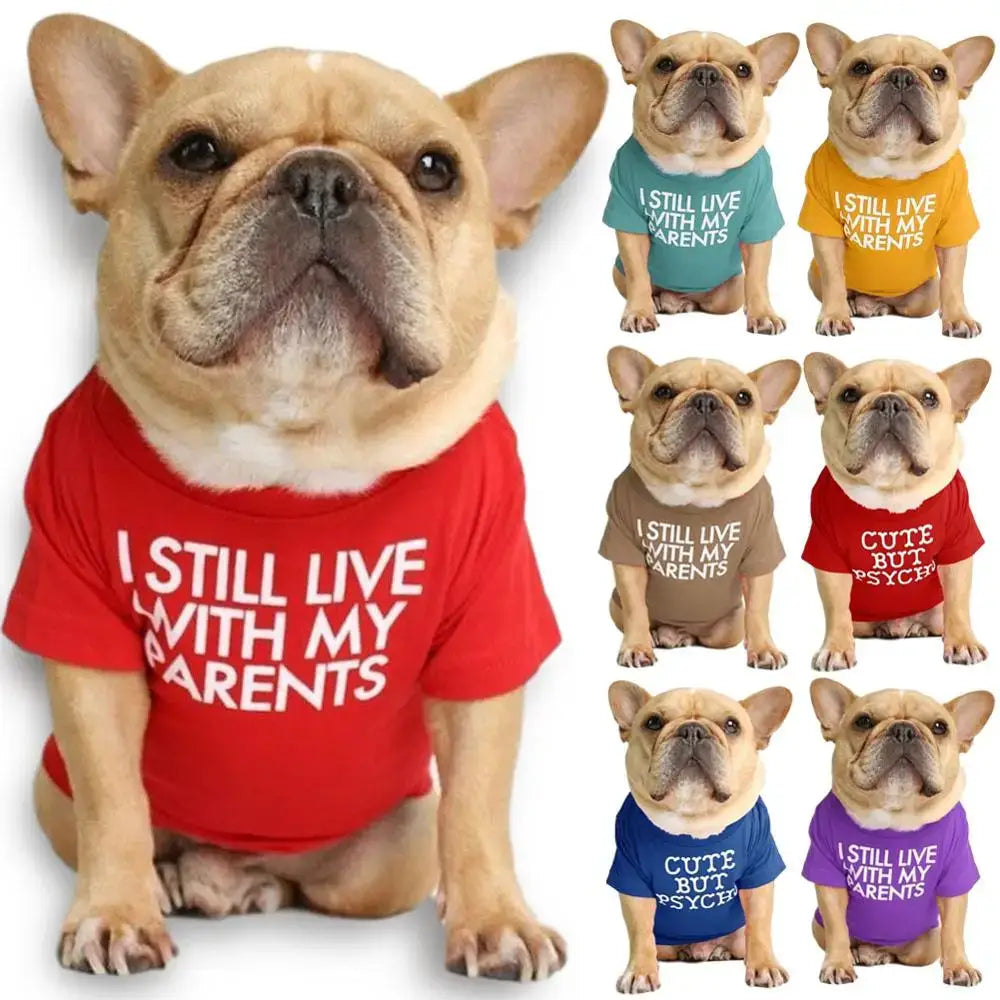 French Bulldog wearing a red t-shirt with text.