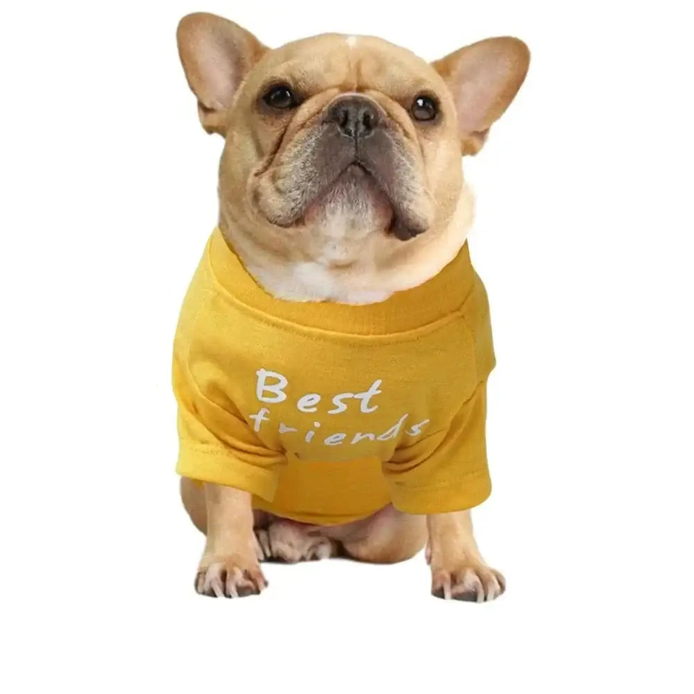 French Bulldog wearing a yellow shirt that says ’Best friend’.