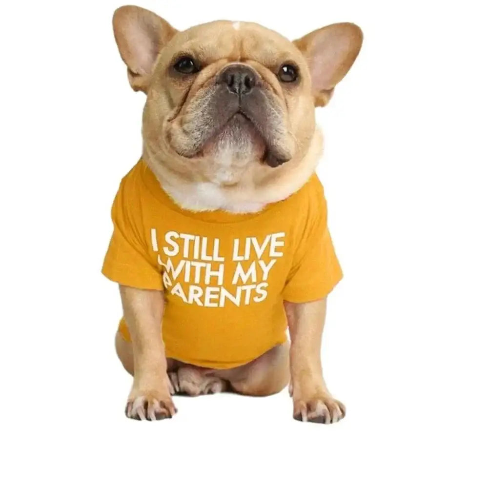 French Bulldog wearing a yellow t-shirt with text.