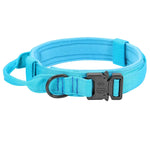 Tactical Dog Collars in Multiple Colors - Vignette | DoggyElite