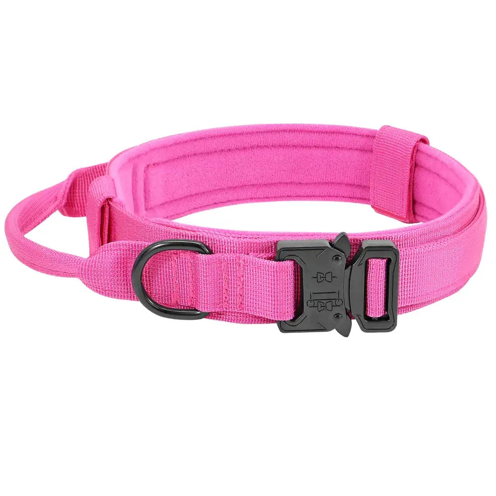 Bright pink dog collar with a quick-release buckle and adjustable strap.