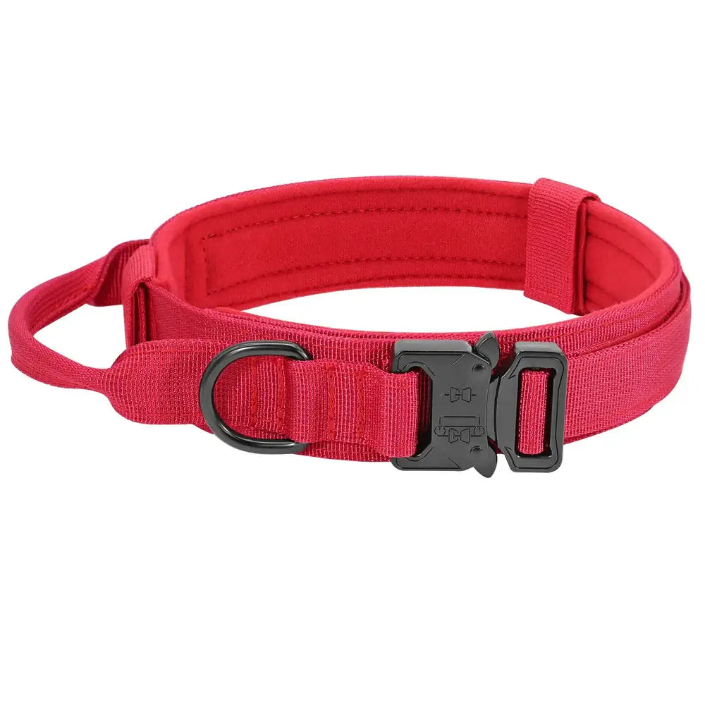 Red dog collar with a quick-release buckle and padded interior.