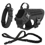 Tactical Dog Harness Set - Vignette | DoggyElite