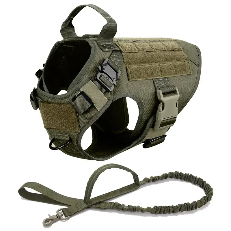 Tactical military-style dog harness with attached leash.