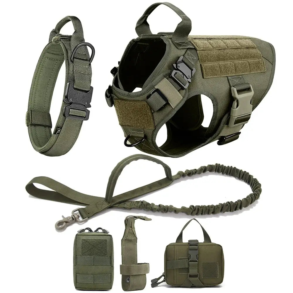 Tactical military-style dog harness with accompanying accessories like leash and pouches.