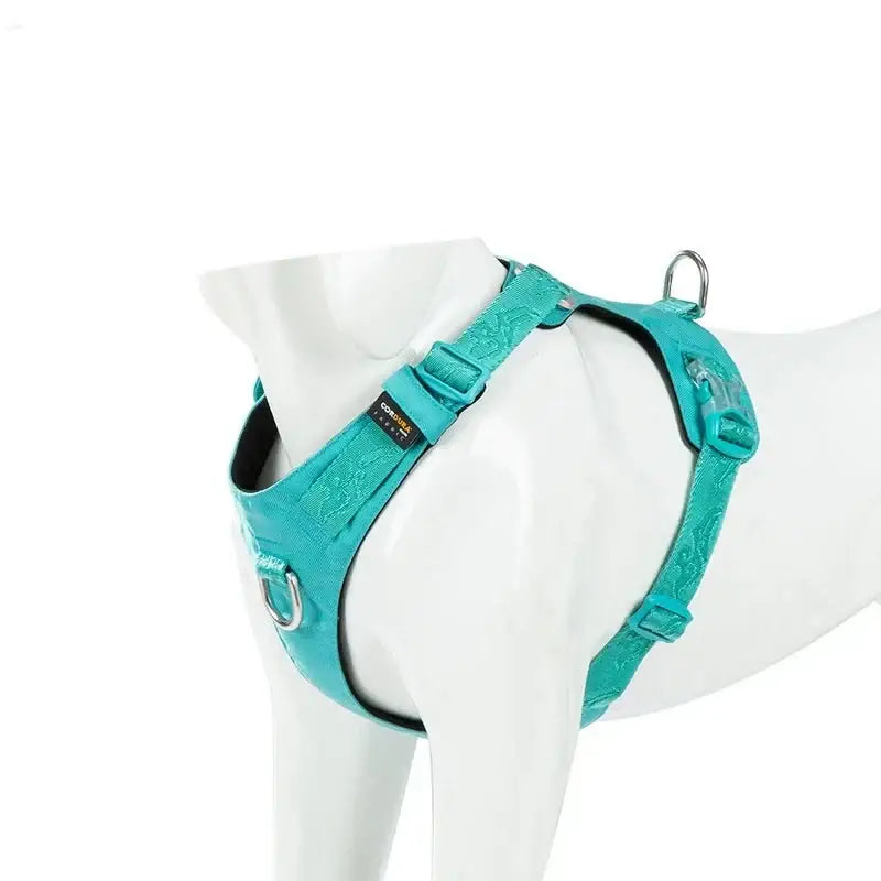 Teal-colored adjustable dog harness with buckles and straps.