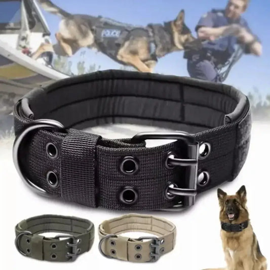 Tactical nylon dog collar with metal buckle in black, green, and tan color options.