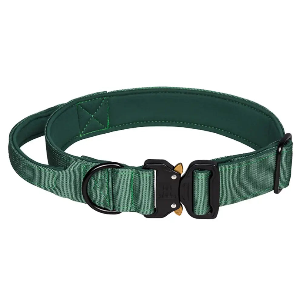 Green nylon dog collar with a metal buckle and adjustment loops.