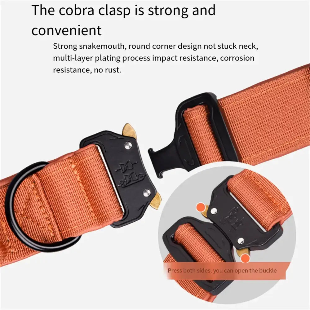 Orange nylon dog collar with a black cobra clasp buckle.