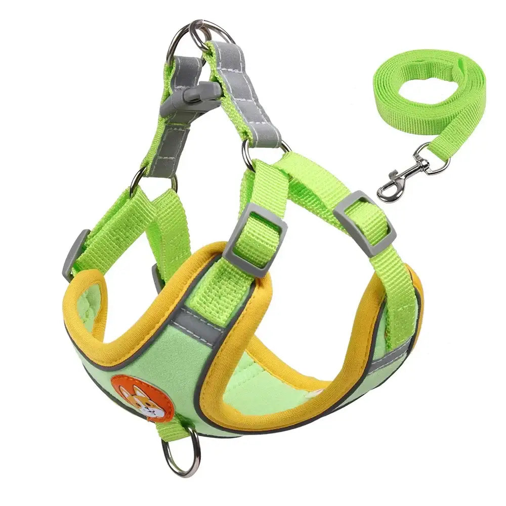 Bright green and yellow dog harness with an attached leash.