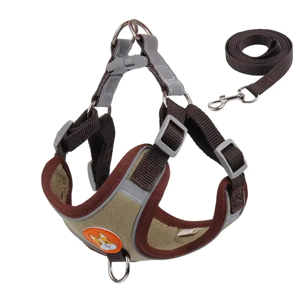 Dog harness with attached leash.