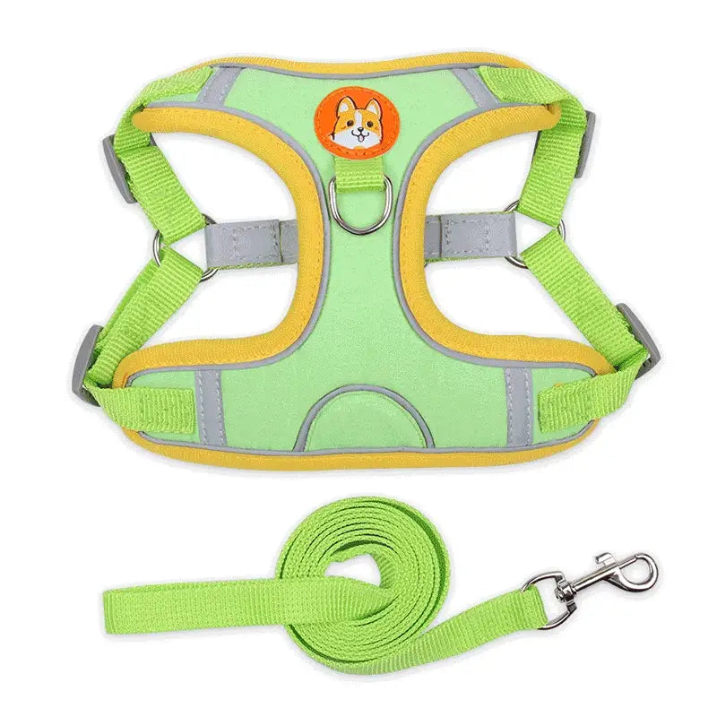 Dog harness with matching leash in bright green and yellow colors, featuring a cartoon dog face emblem.