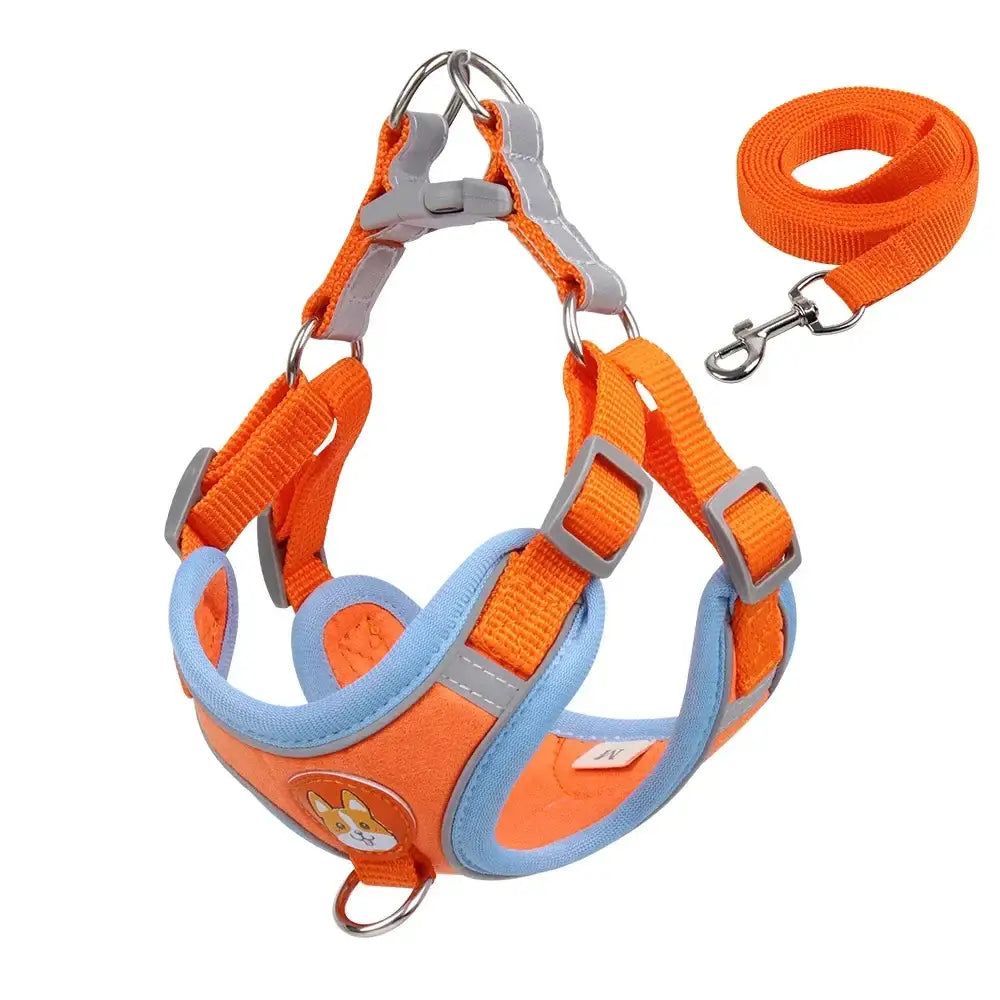 Dog harness with matching leash in orange and light blue colors.