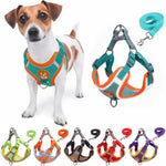 Teal and Orange Dog Harness - Vignette | DoggyElite