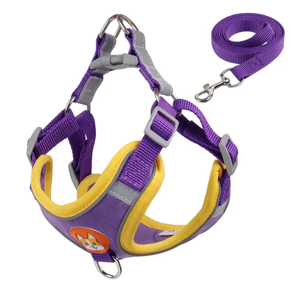 Purple and yellow dog harness with an attached leash.