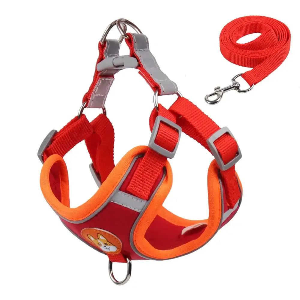 Red and orange dog harness with an attached leash.