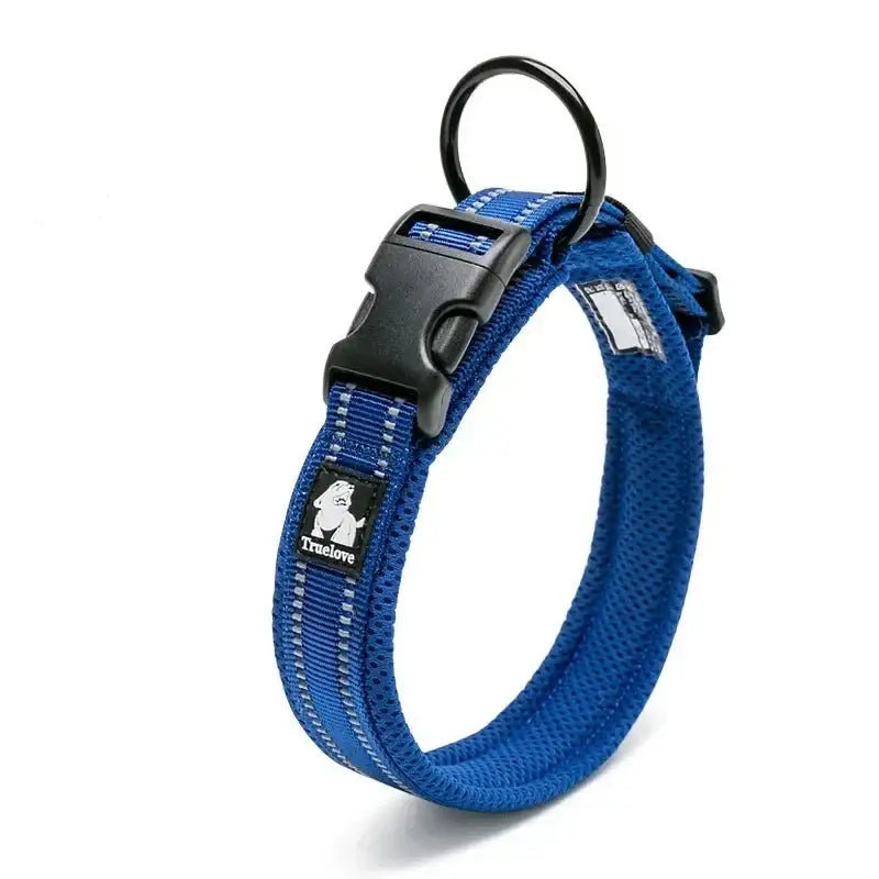 Blue padded dog collar with a black plastic buckle and metal ring attachment.