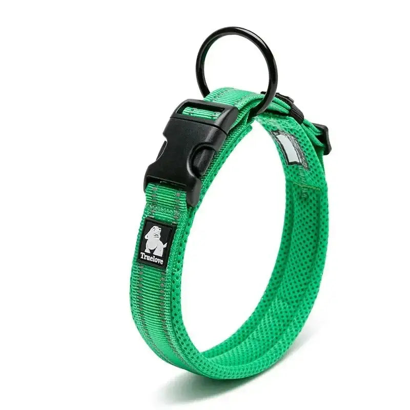 Bright green dog collar with a black buckle and metal ring.