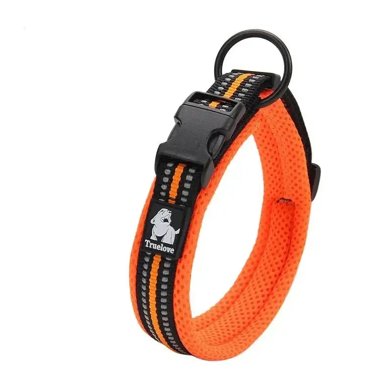 Bright orange padded dog collar with reflective stripes and a quick-release buckle.