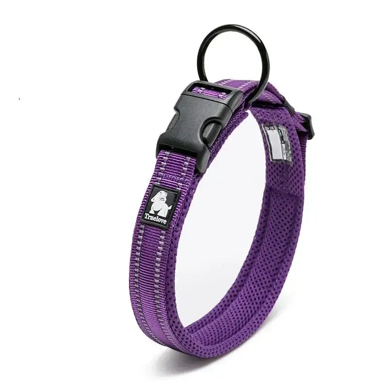 Purple dog collar with a black plastic buckle and adjustable strap.