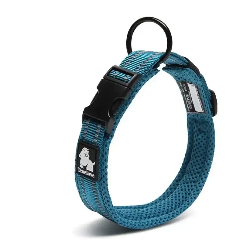 Teal blue adjustable dog collar with a black buckle and a small logo.