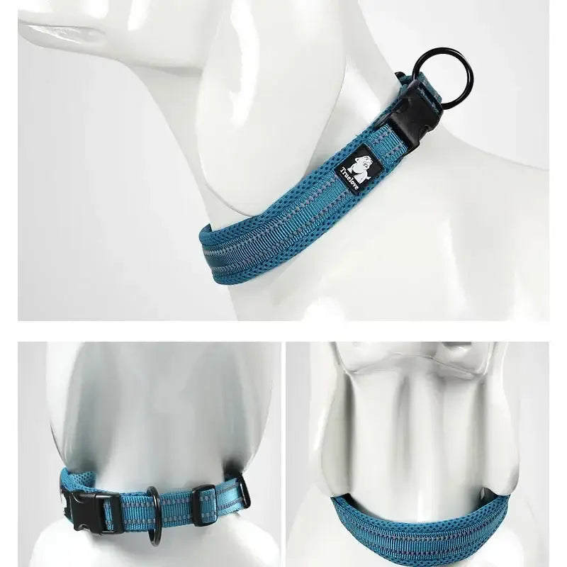 Teal blue padded dog collar with a black buckle and metal ring.