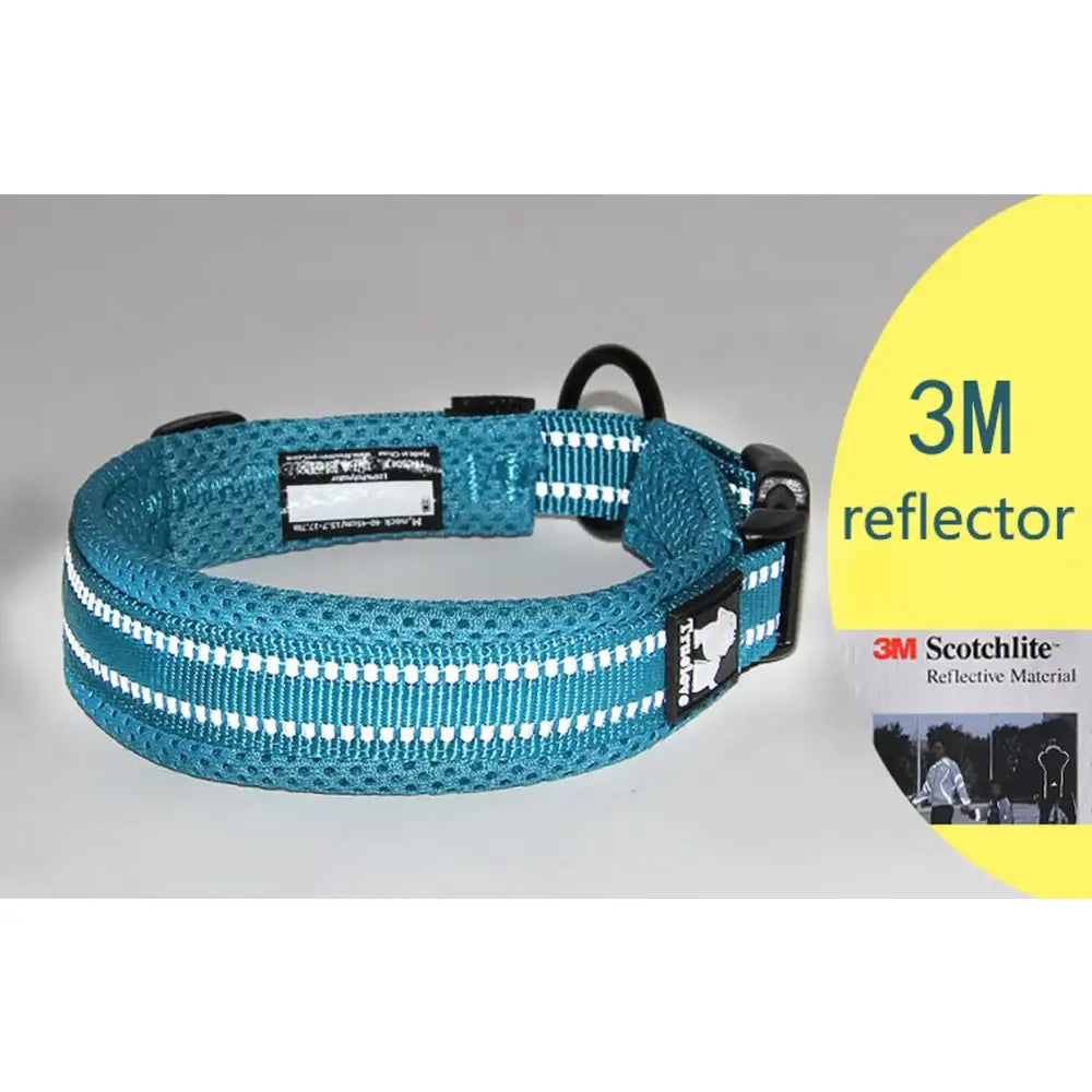 Teal dog collar with reflective striping and a buckle closure.