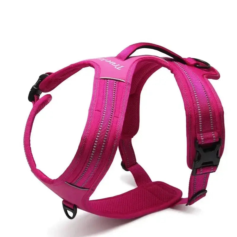 Bright pink dog harness with adjustable straps and buckles.