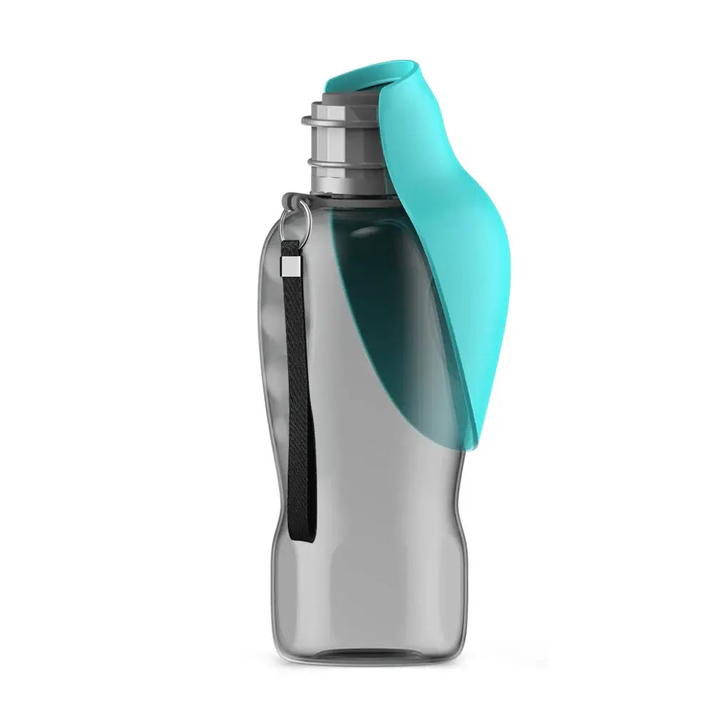 Stainless steel water bottle with a teal silicone sleeve and black cap.