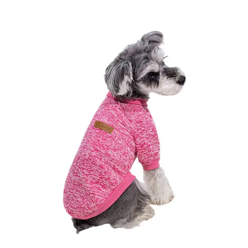 Dog wearing a bright pink knitted sweater.