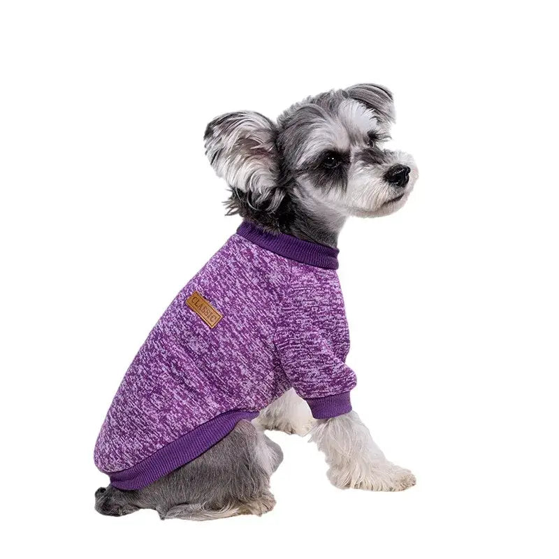 Small dog wearing a purple knit sweater.