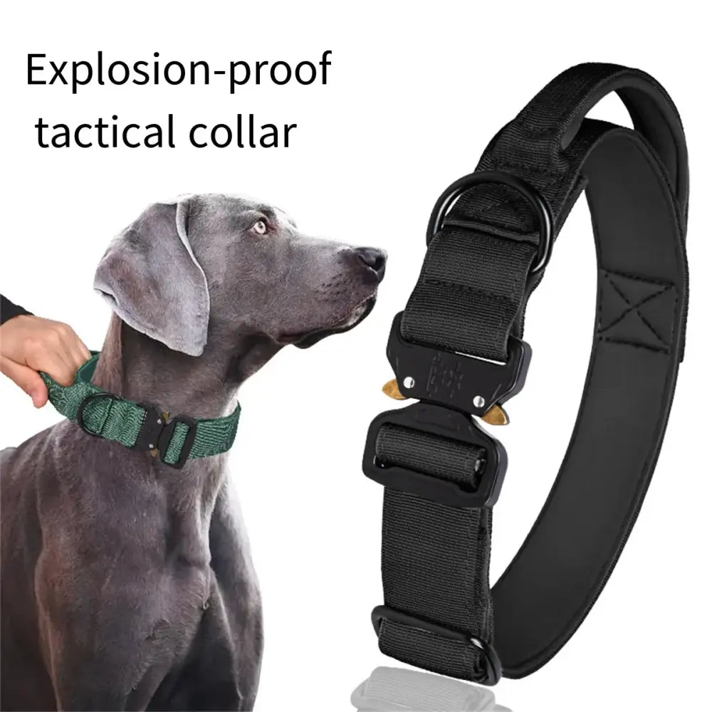 Black tactical dog collar with sturdy buckles and straps.