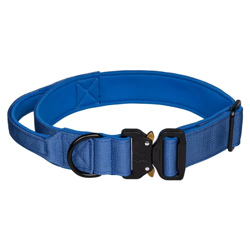 Blue nylon dog collar with a quick-release buckle.