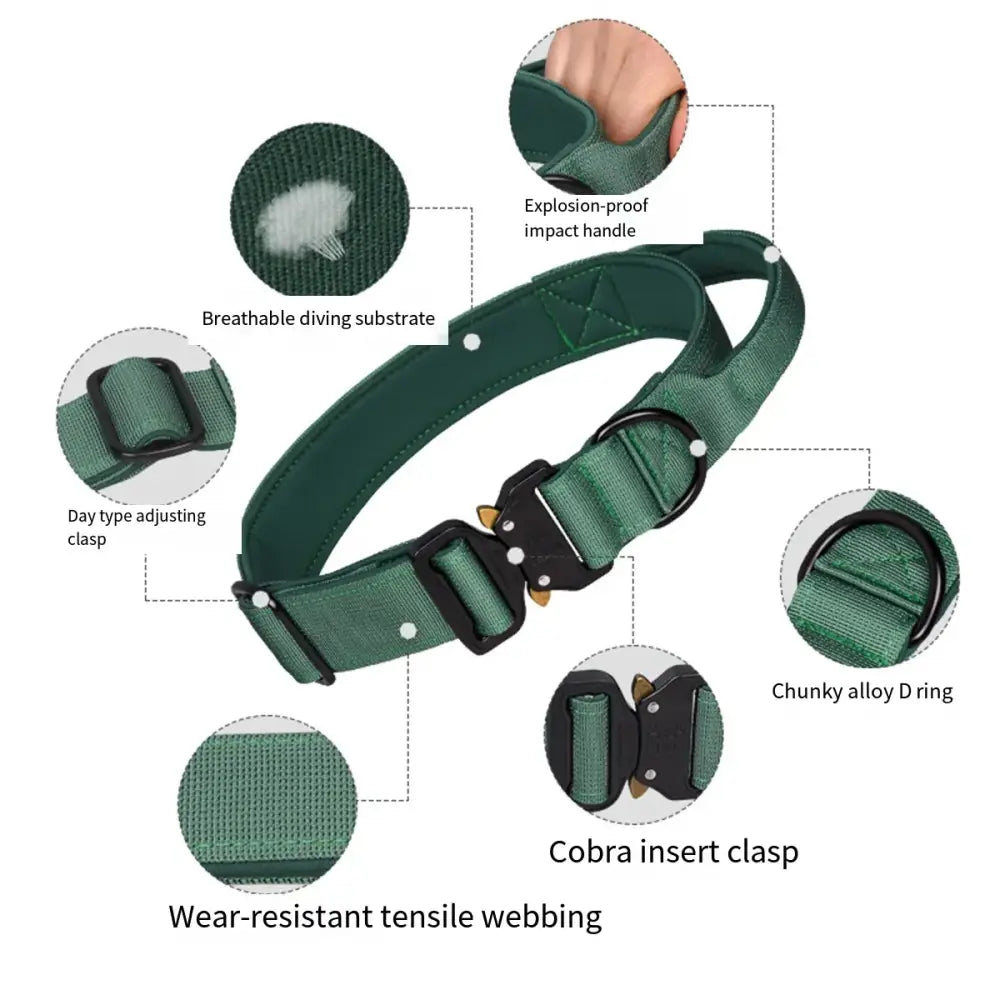 Green dog collar with various labeled features and components.