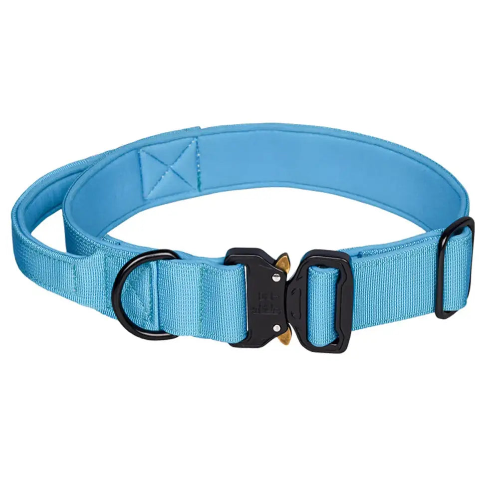 Light blue dog collar with a quick-release buckle.