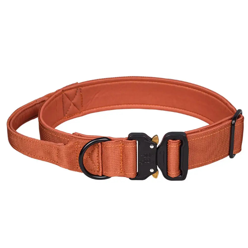 Orange nylon dog collar with black buckle and metal hardware.