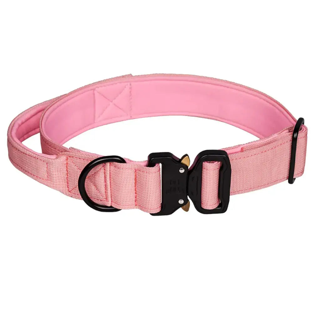 Pink nylon dog collar with black metal buckle and adjustment hardware.