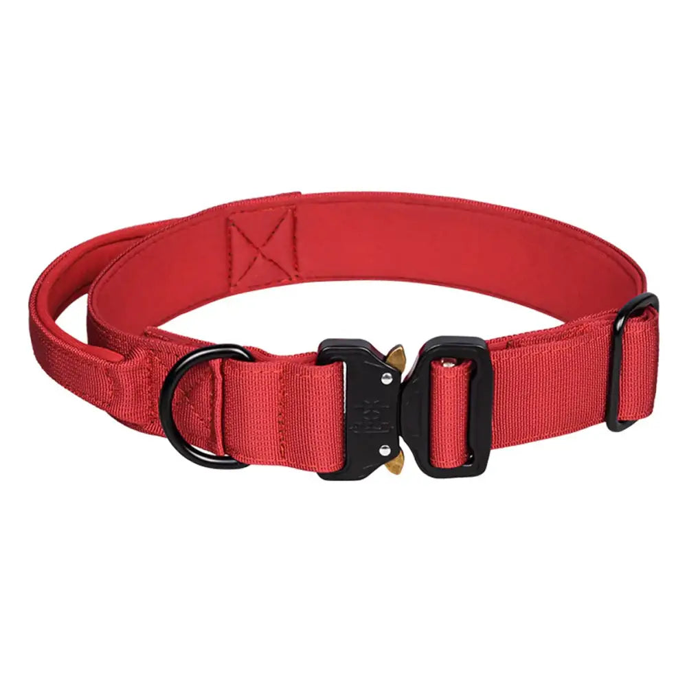 Red nylon dog collar with black buckle and metal hardware.