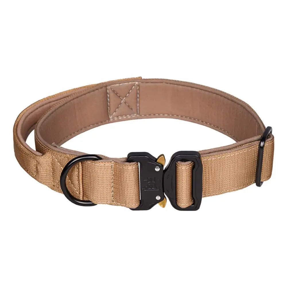 Tan nylon dog collar with a quick-release buckle and metal D-ring.