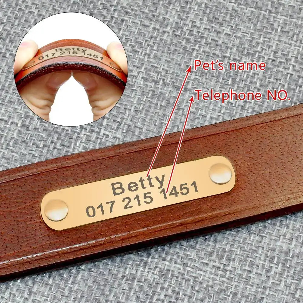 Brown leather collar with a metal identification tag engraved with a name and phone number.